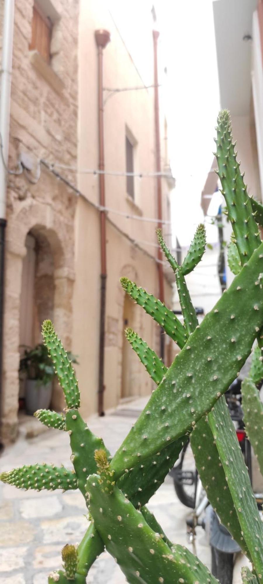 La Follia Dell'Architetto Villa Bari Exterior photo